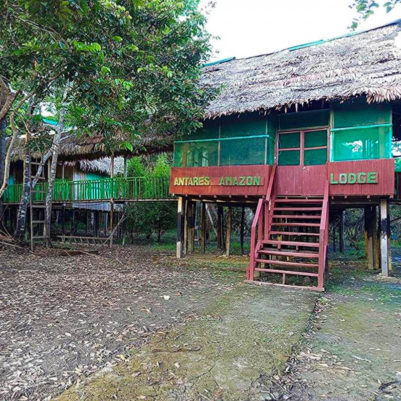 Antares Amazon Lodge wooden cabins on stilts with thatched roofs surrounded by tropical rainforest vegetation