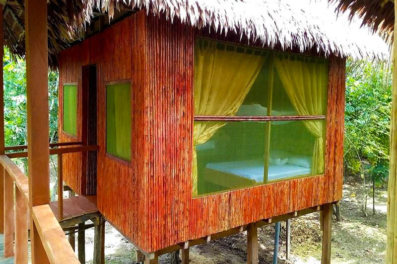 Eco-friendly bungalow at Antares Amazon Lodge, made of wood with thatched roof, surrounded by lush Amazon rainforest in Peru, offering an immersive jungle experience.