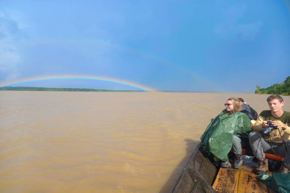 Right rainbow over the Amazon rainforest after a tropical rain