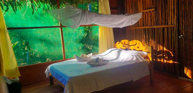 Room at Antares Amazon Lodge with views of the Amazon rainforest