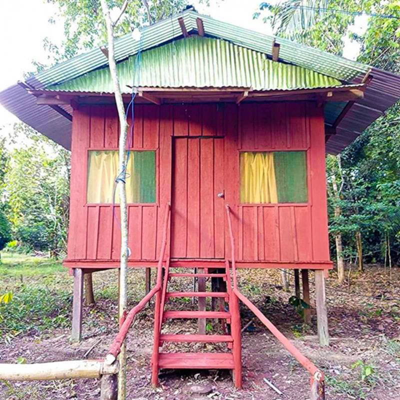 Rustic wooden bungalow at Antares Amazon Lodge, surrounded by lush rainforest in the Peruvian Amazon, offering eco-friendly accommodation in nature