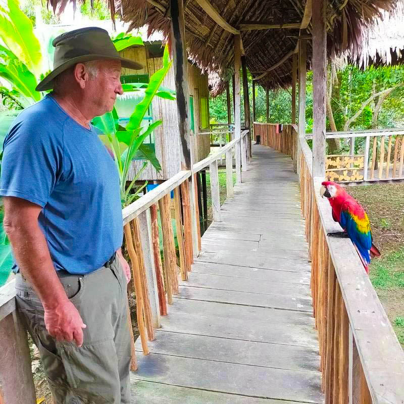 Tourist standing on the lodge bridge observing a scarlet macaw in the tropical rainforest