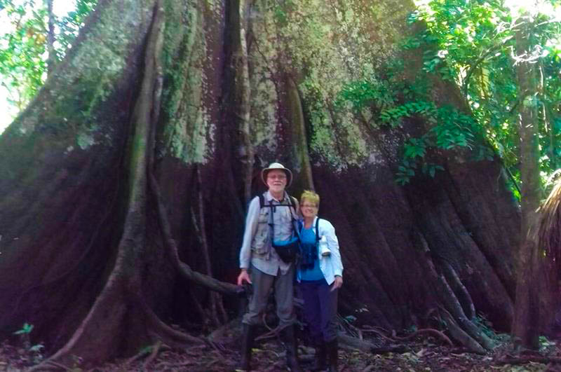 Tourists next to the majestic Kapok tree, one of the largest in the Amazon