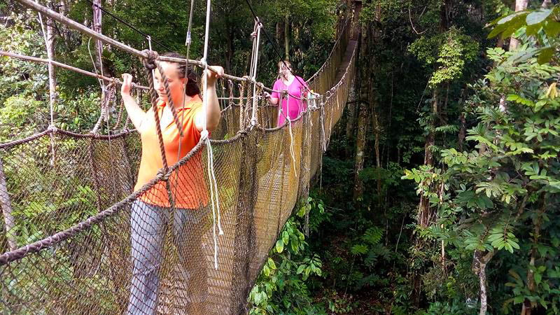 Tourists walking across a suspension bridge surrounded by natural scenery