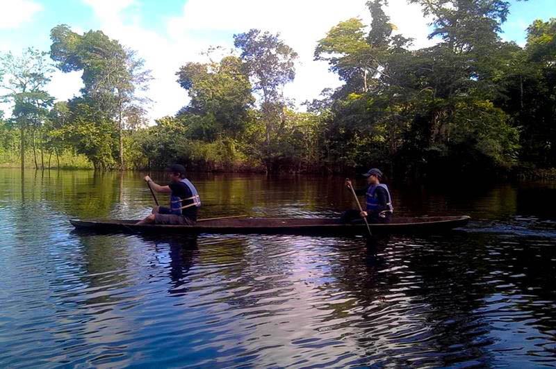 Tourists paddling a canoe through Pampa Caño stream, surrounded by lush Amazon rainforest, enjoying eco-tourism and adventure in the Peruvian Amazon.